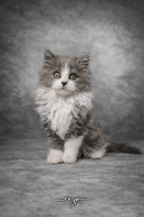 Axel DEPART - VAYP STUDIO